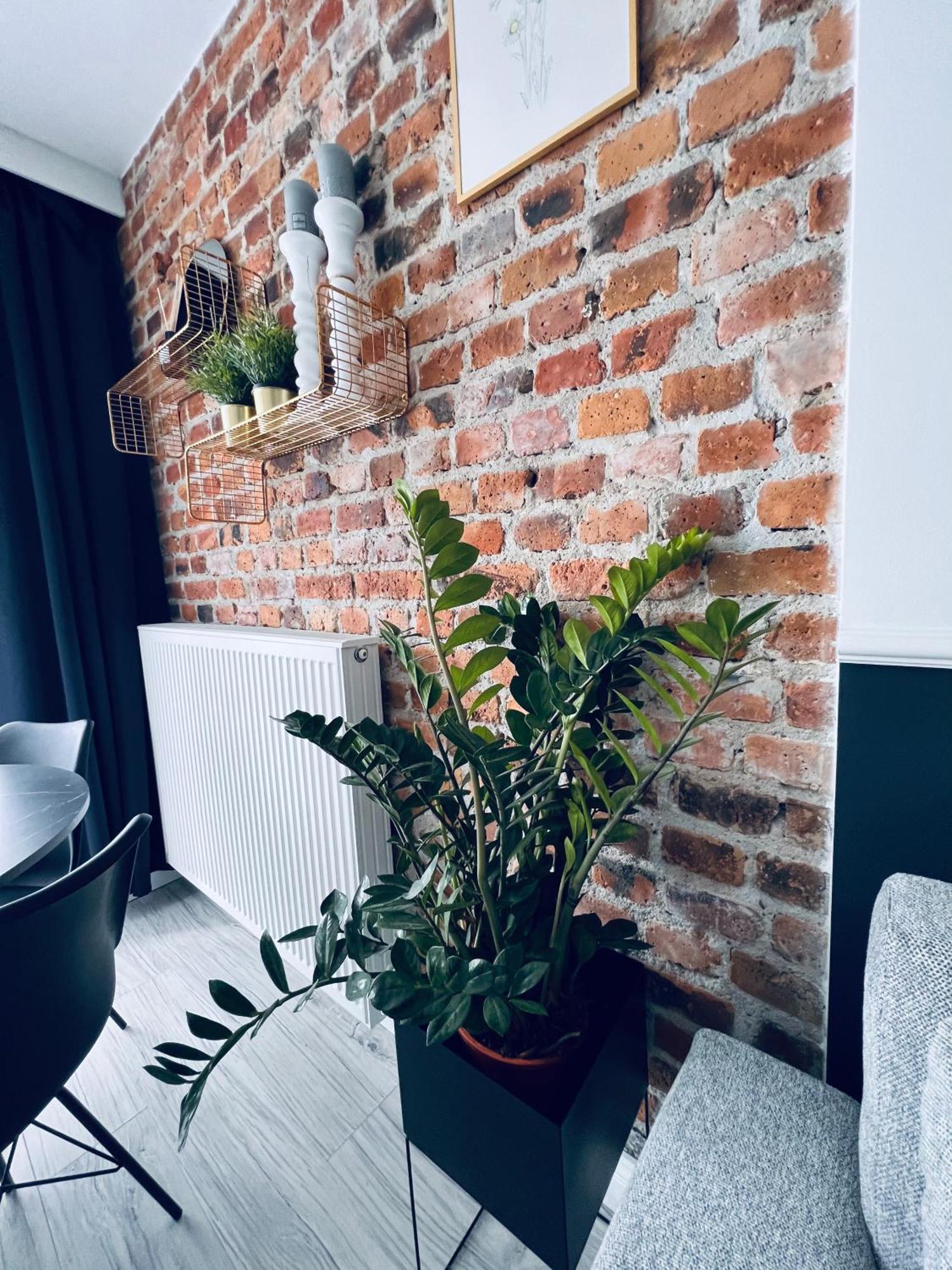 Apartamenty Zary Eksteriør billede